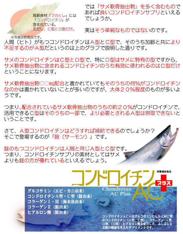 �T���������