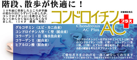 ���ʤ���Ŭ�ˡ�����ɥ�������AC+